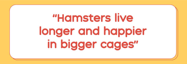 Hamsters live longer in a large cage