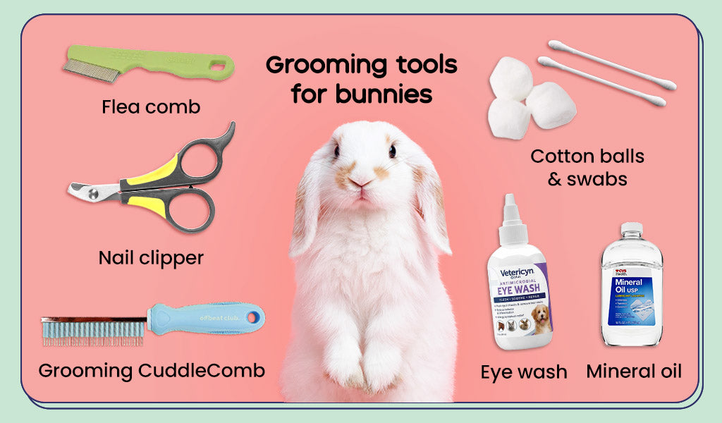 Tools needed for rabbit grooming