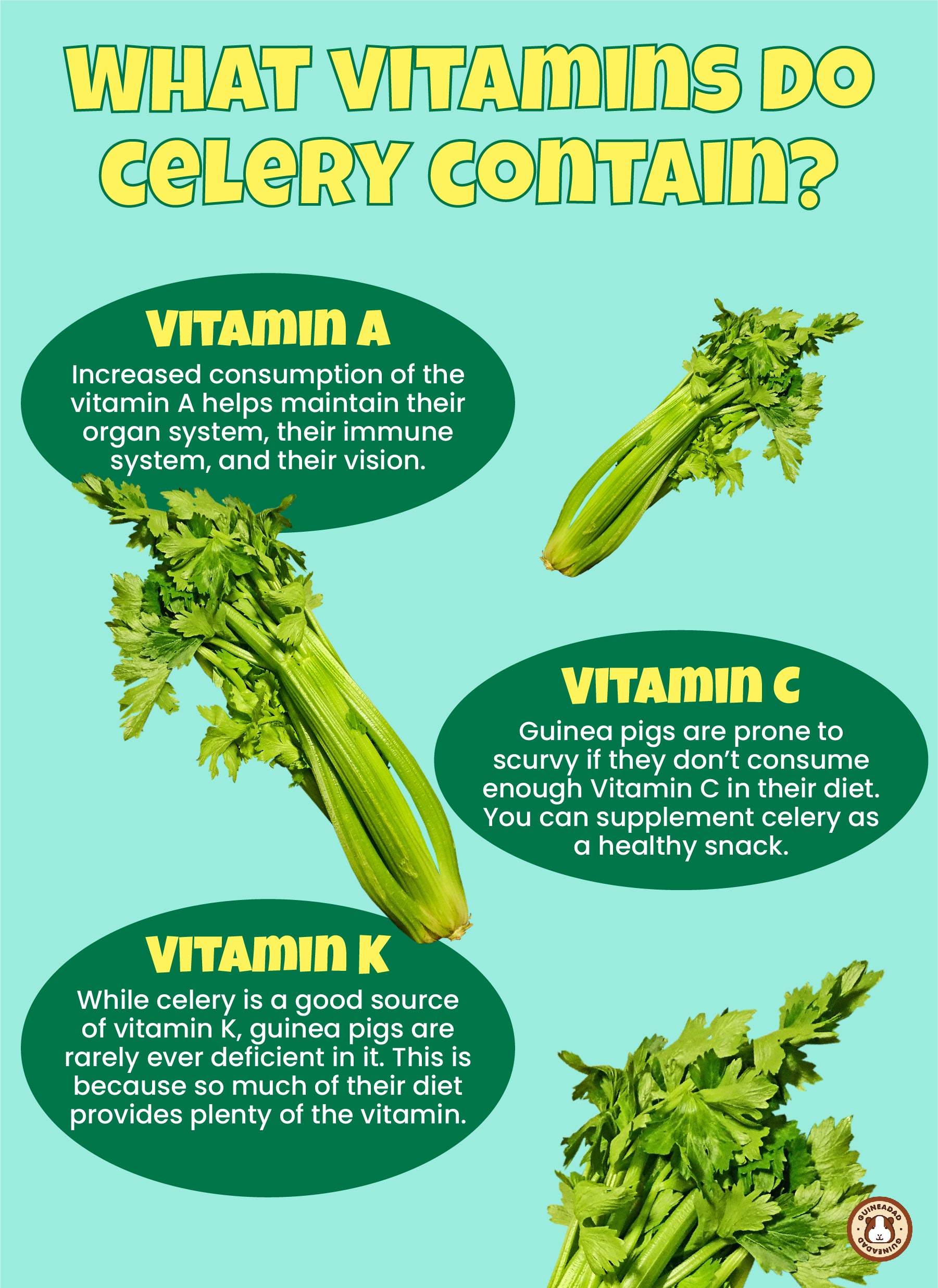 What Vitamins Do Celery Contain?