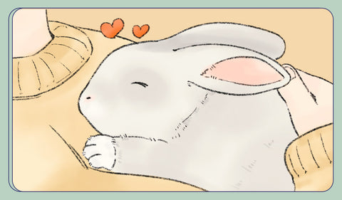 10 Signs Your Rabbit Loves You I GuineaDad