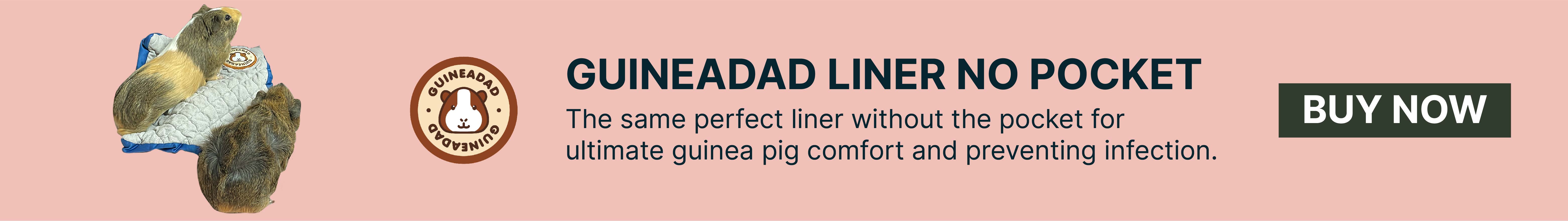 GuineaDad liner with no pocket