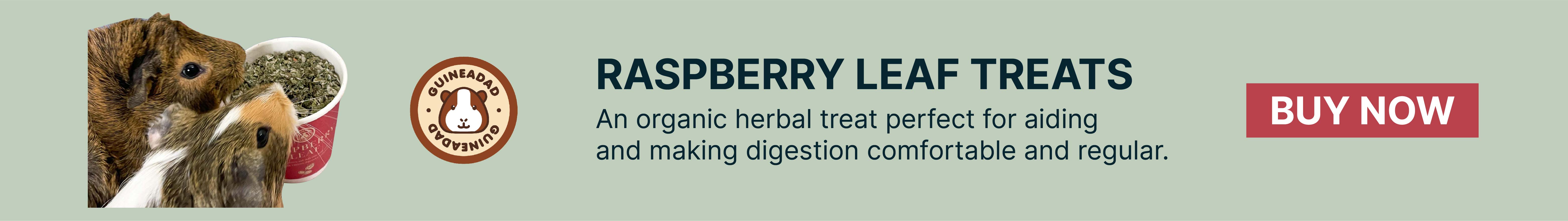 GuineaDad Raspberry Leaf Organic Herbal Treats for guinea pigs