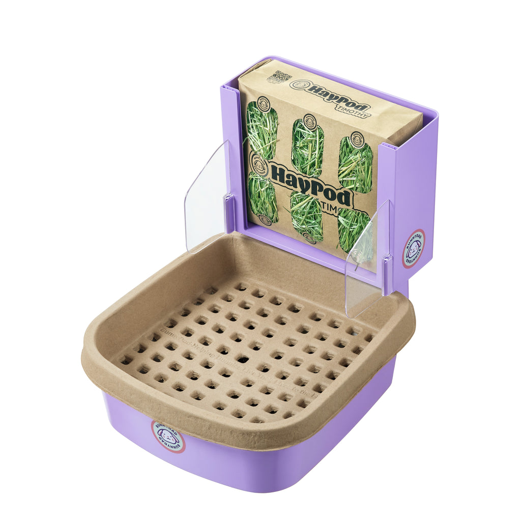 BunnyLet from BunnyDad, rabbit litter box