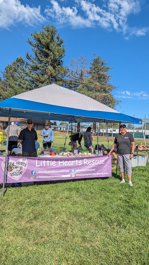 Little Heart Rescue - Cupertino Pignic - Bay Area Pignic https://littleheartrescue.org/ - Little Hearts Rescue