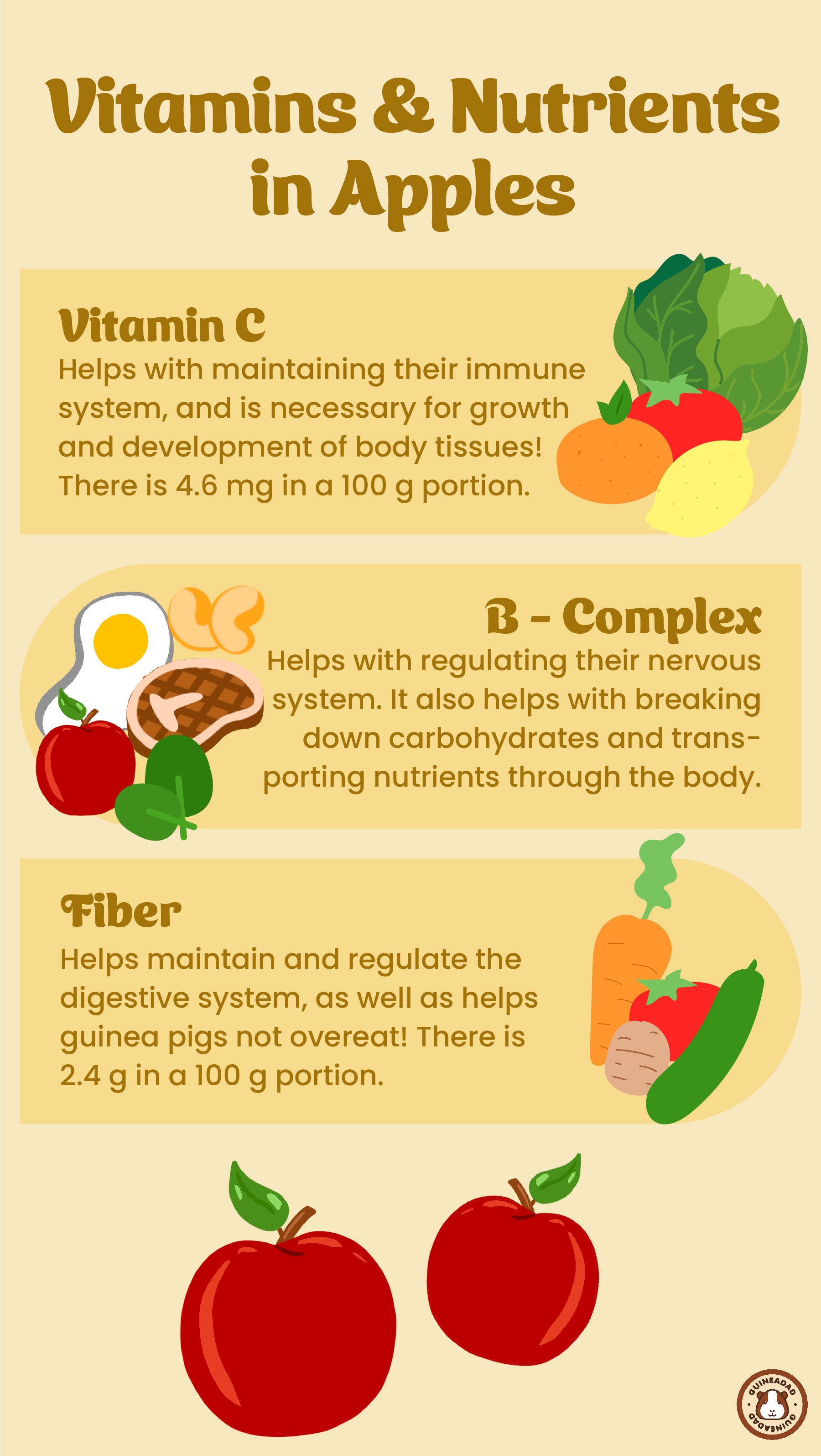 Infographic displaying the vitamins and nutrients in apples important for guinea pigs, including vitamin C, B-Complex, and Fiber