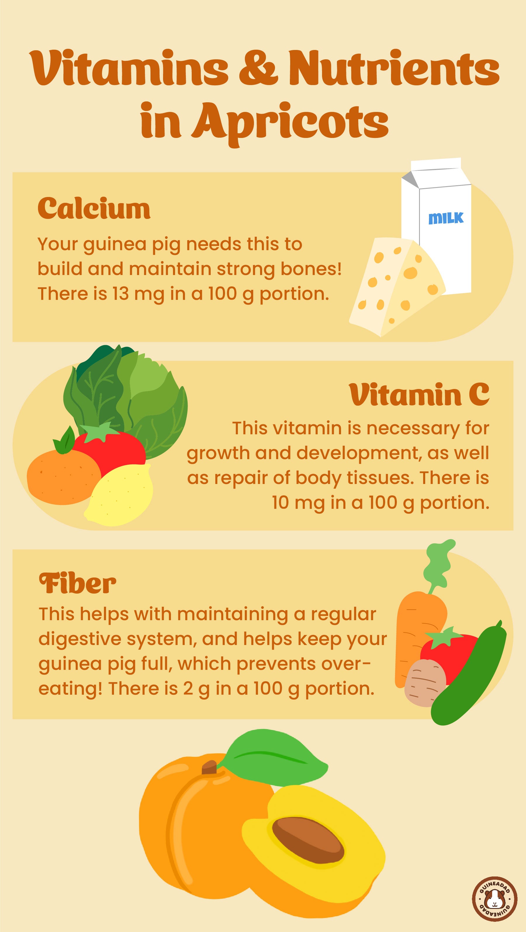 infographic displaying the vitamins and nutrients in apricots for guinea pigs