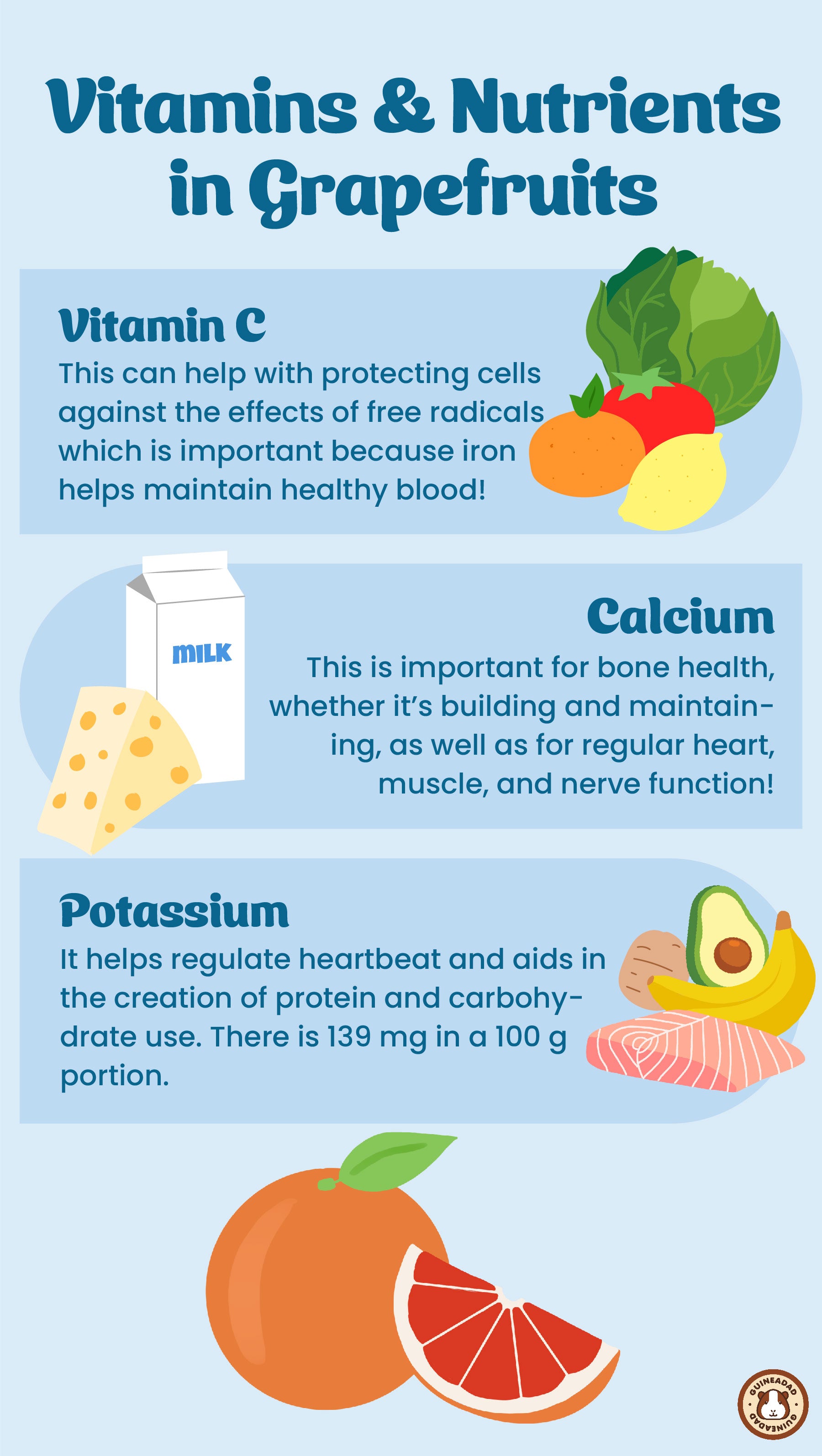 Infographic displaying the vitamins and nutrients in grapefruit