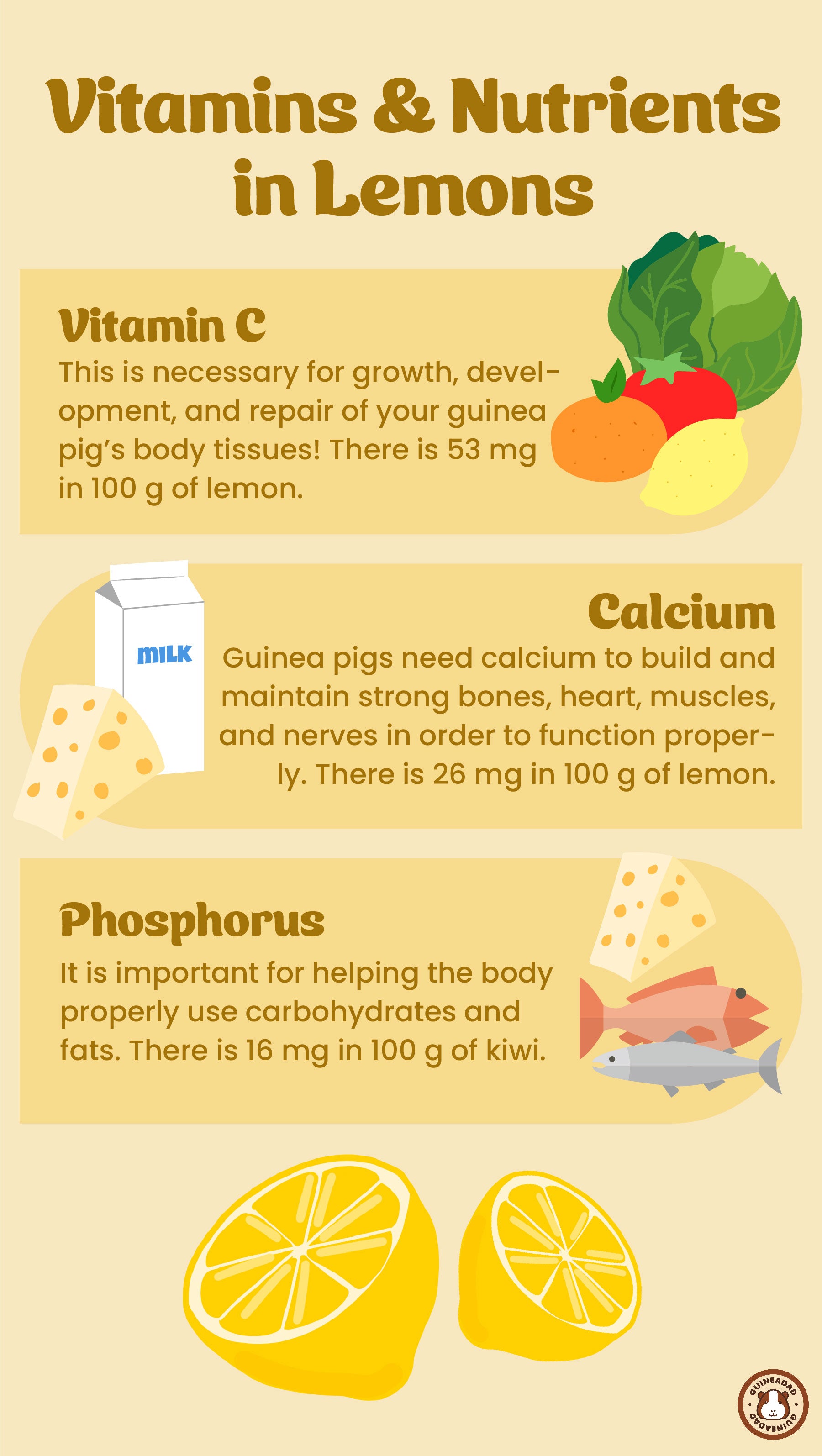 Infographic displaying the vitamins and nutrients in lemons for guinea pigs