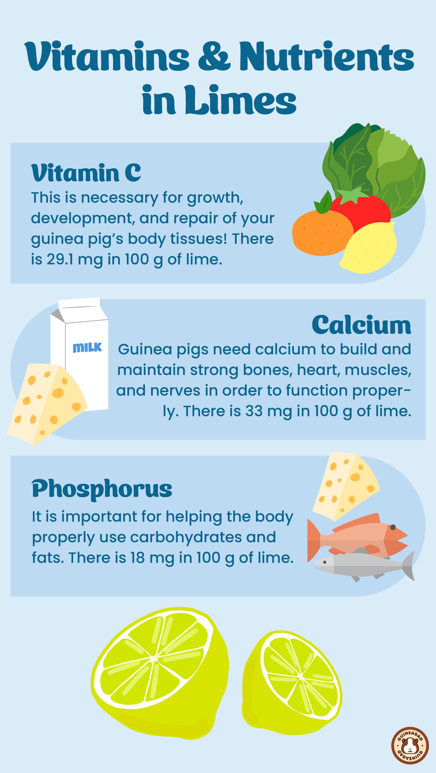 Infographic displaying the vitamins and other nutrients in limes for guinea pigs