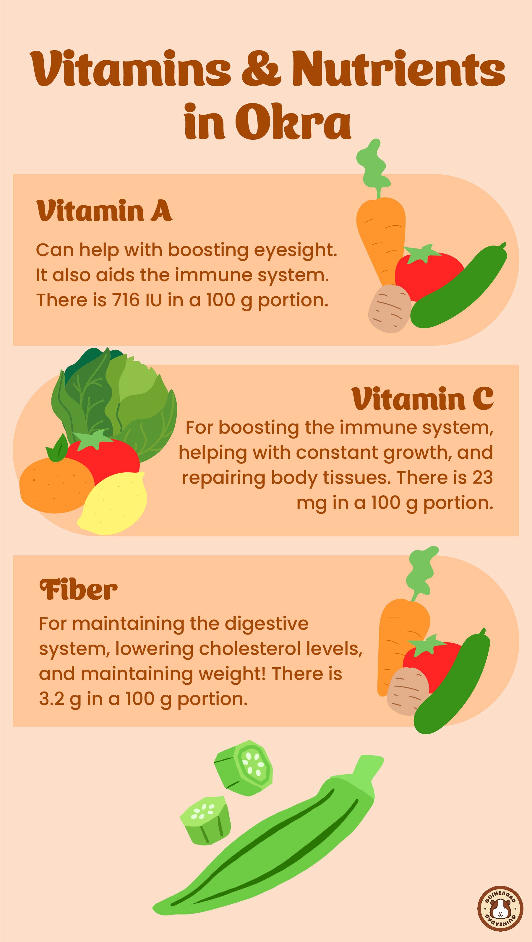 Infographic displaying the vitamins and nutrients in okra for guinea pigs