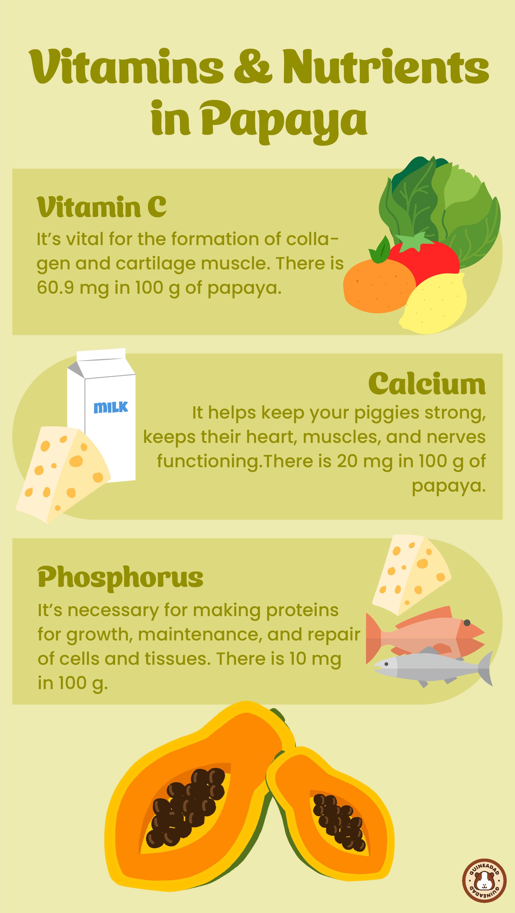 Infographic displaying the vitamins and other nutrients in papaya for guinea pigs