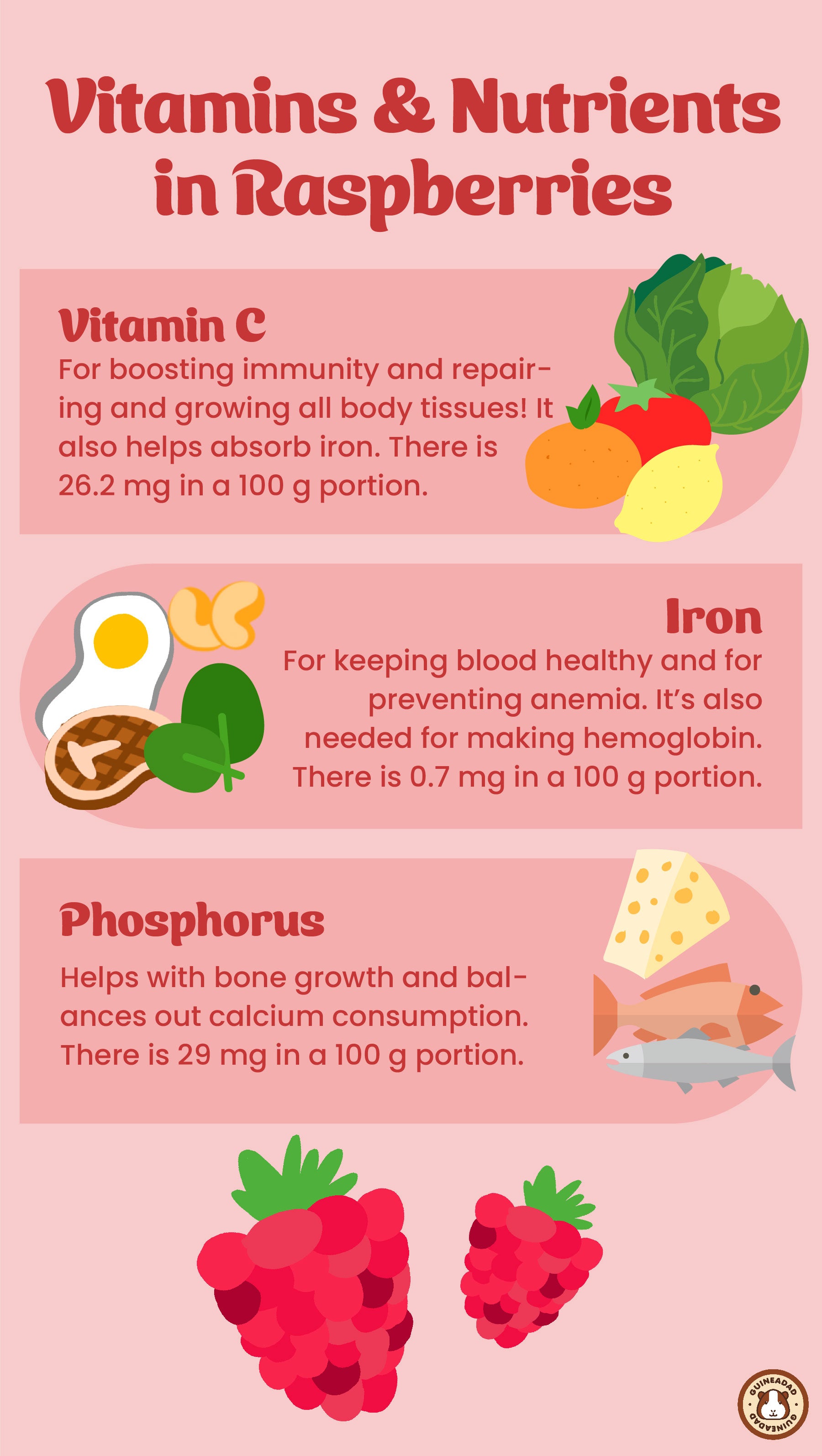 Infographic displaying vitamins and other nutrients in raspberries for guinea pigs
