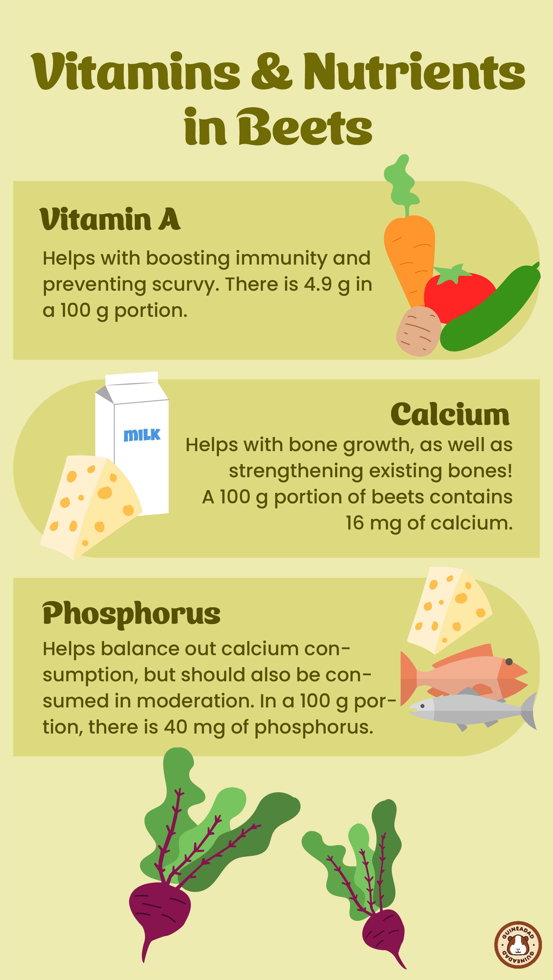 Infographic displaying the vitamins and nutrients in beets for guinea pigs