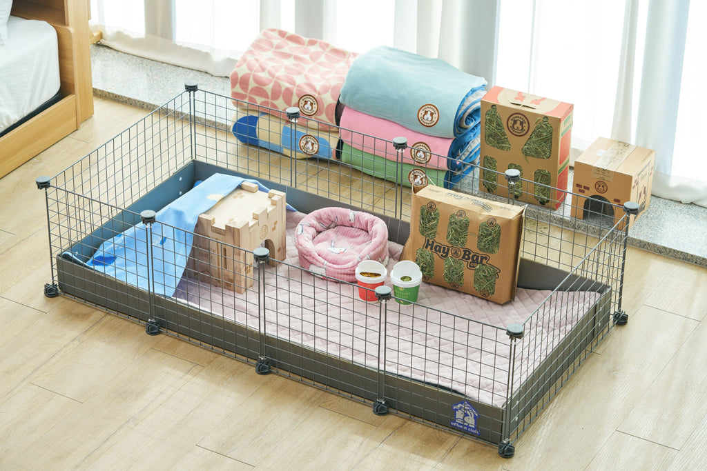 guinea pig cage, best cage for guinea pigs