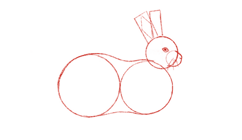 how to draw a rabbit
