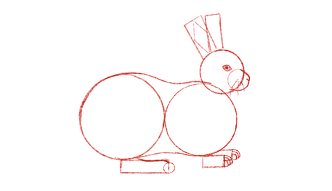 how do you draw a rabbit?