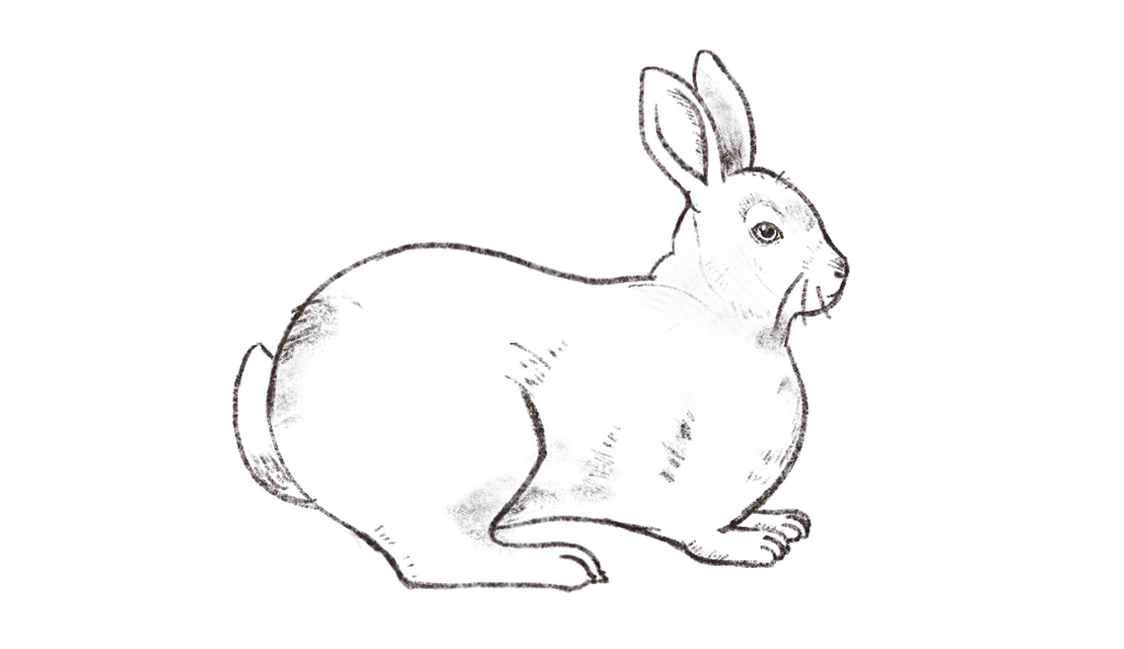 how to draw a perfect bunny