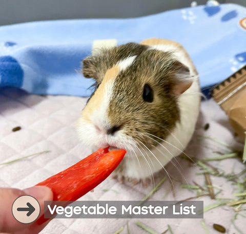 https://guineadad.com/blogs/news/guineadad-veggie-masterlist-what-kinds-of-vegetables-can-your-guinea-pig-eat?