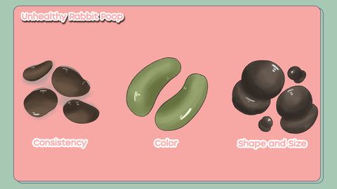 Infographic - How to judge your rabbit's health by looking at their poop - consistency, color, shape, and size ,