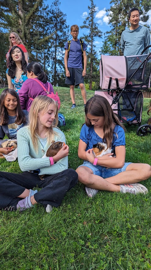 Cupertino Pignic - Kids with Guinea Pigs - Bay Area Pignic