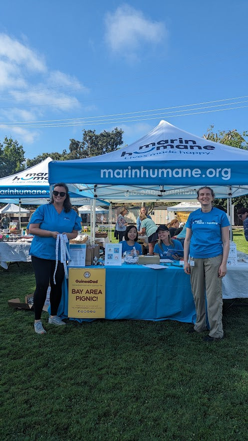 Marin Humane Society - GuineaDad - Marin Bay Area Pignic  https://marinhumane.org/