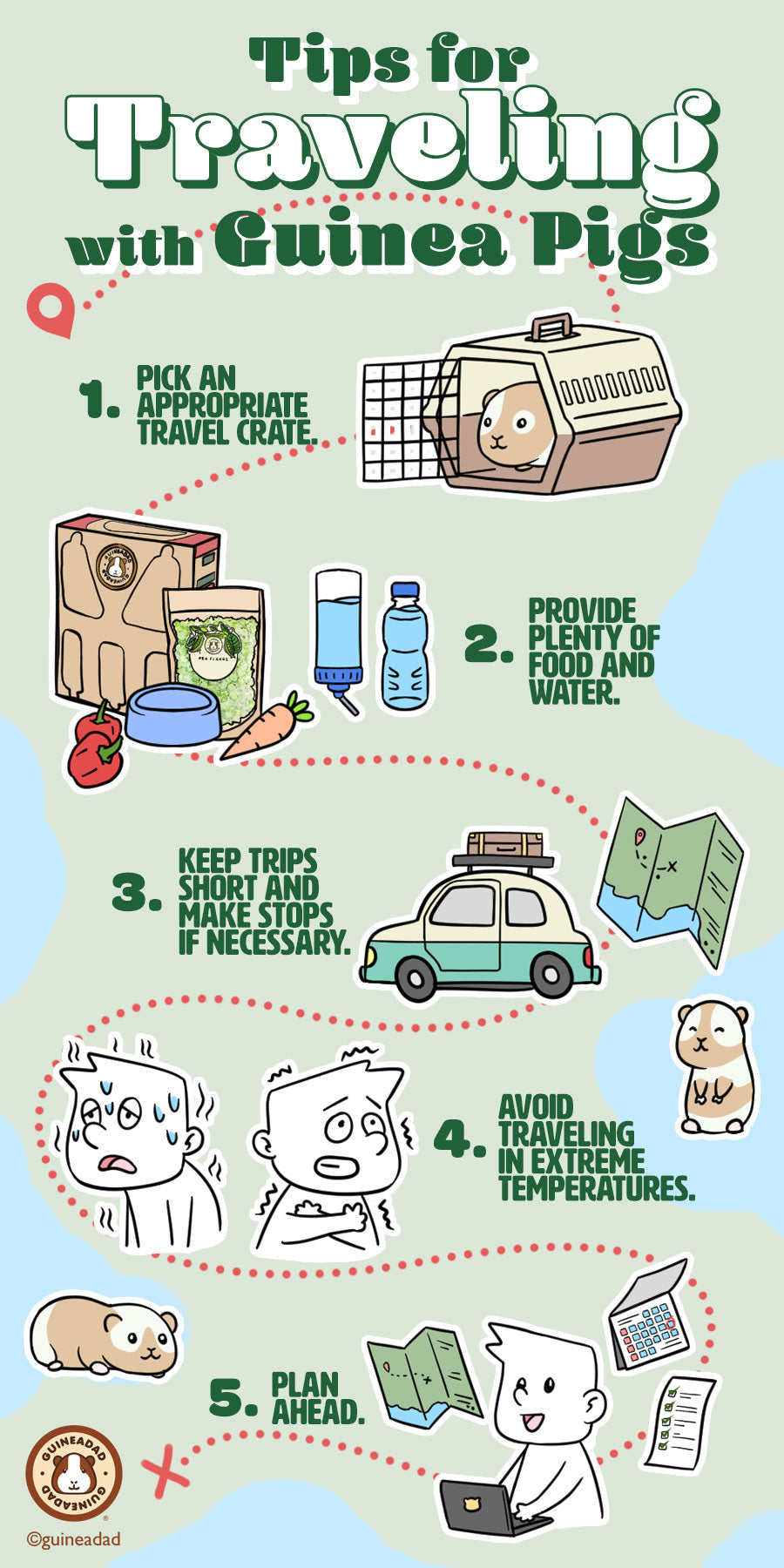 Traveling Tips with Guinea Pigs