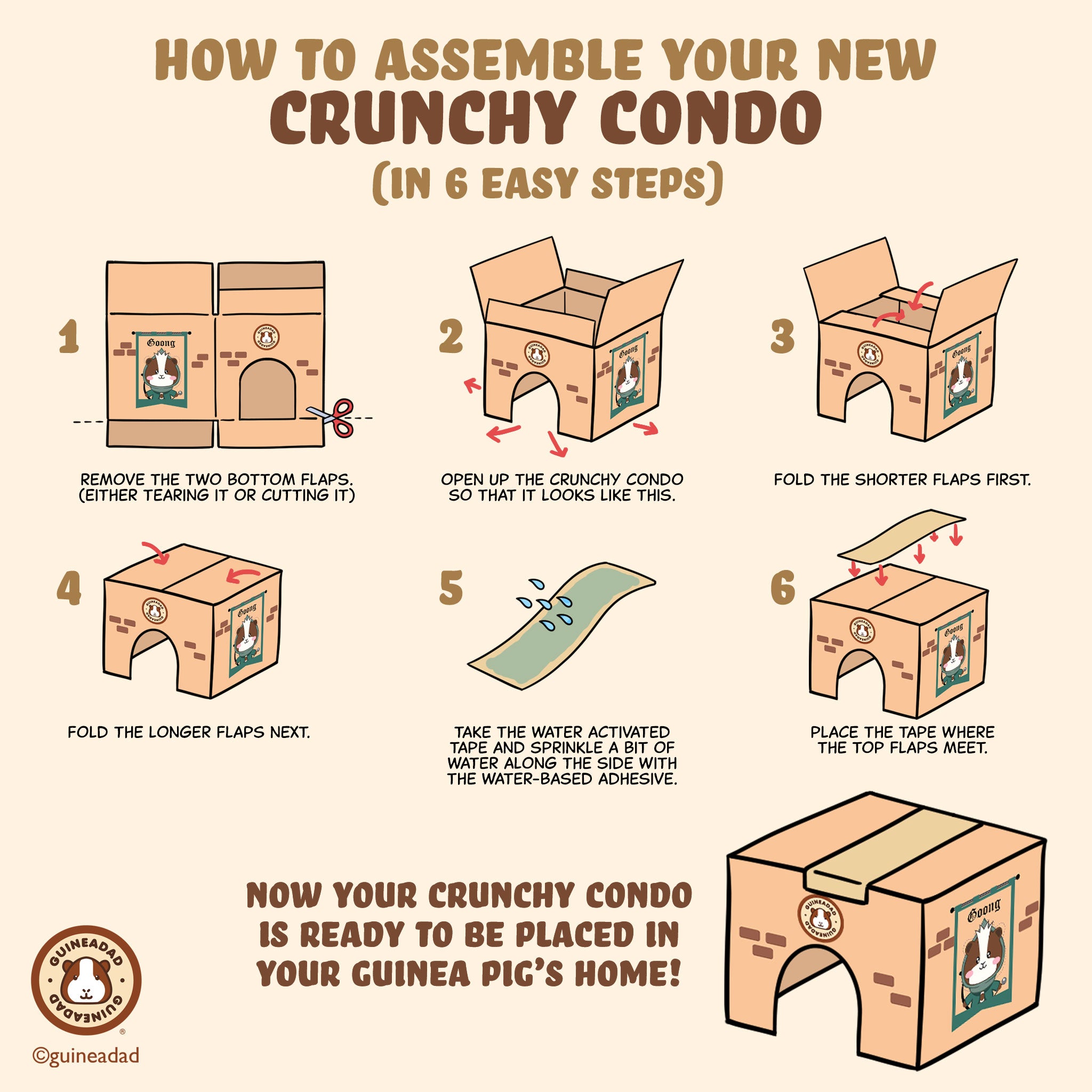 How to Put Together the GuineaDad Crunchy Condo