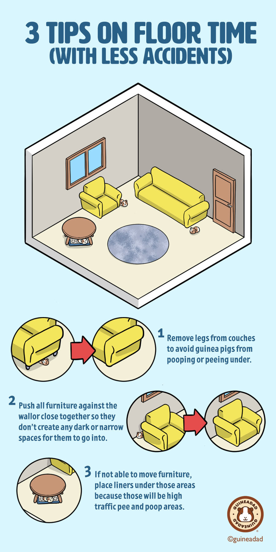 3 Tips for Guinea Pig Floor Time