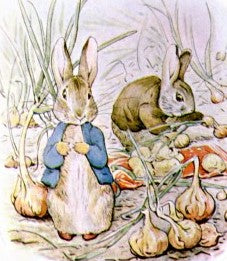 Peter Rabbit - Peter Cottontail - The Tale of Peter Rabbit - Famous Bunnies