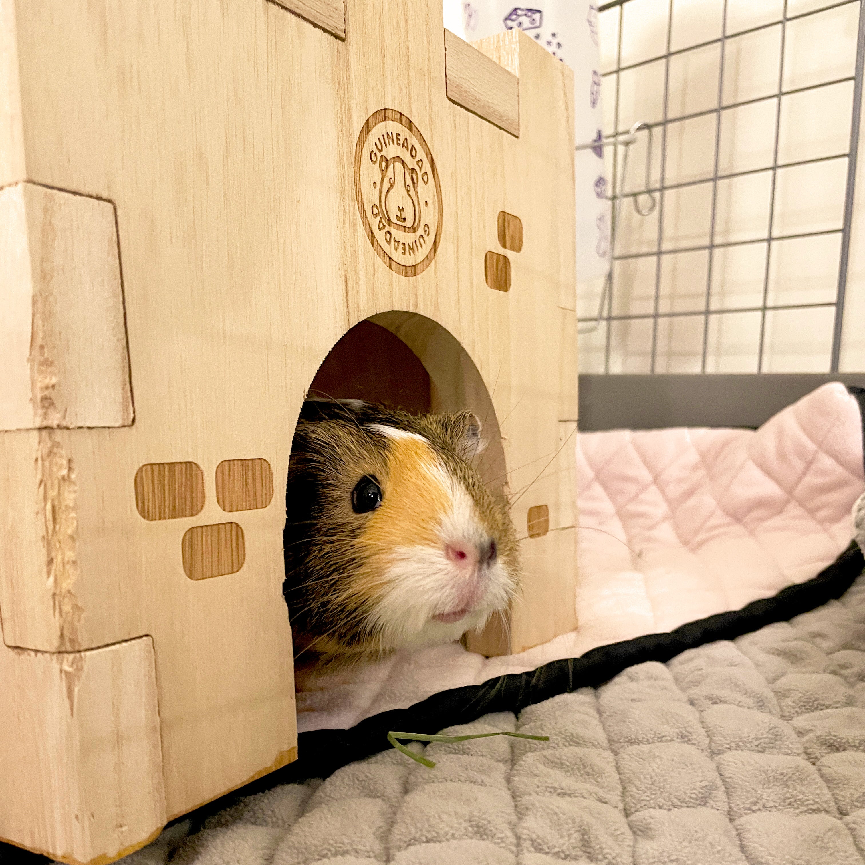 GuineaDad Queen's Castle solid wood hidey for guinea pigs