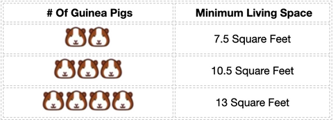 Guinea pig cage sizes