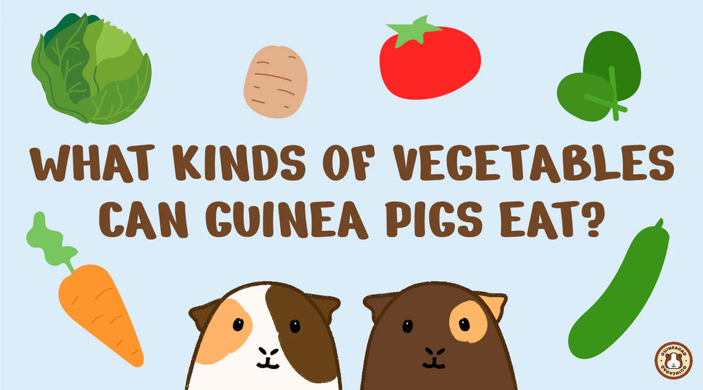 Guinea Pig Vegetable Master List