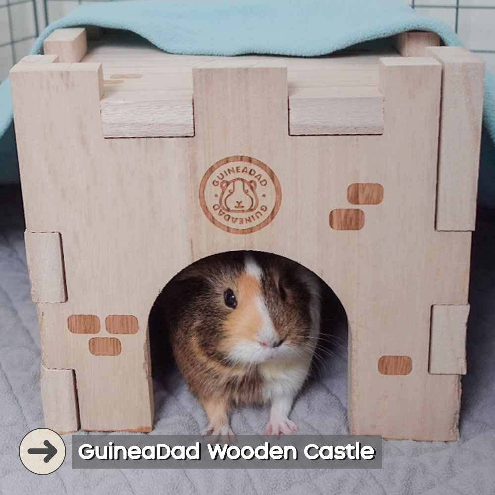 wooden castle