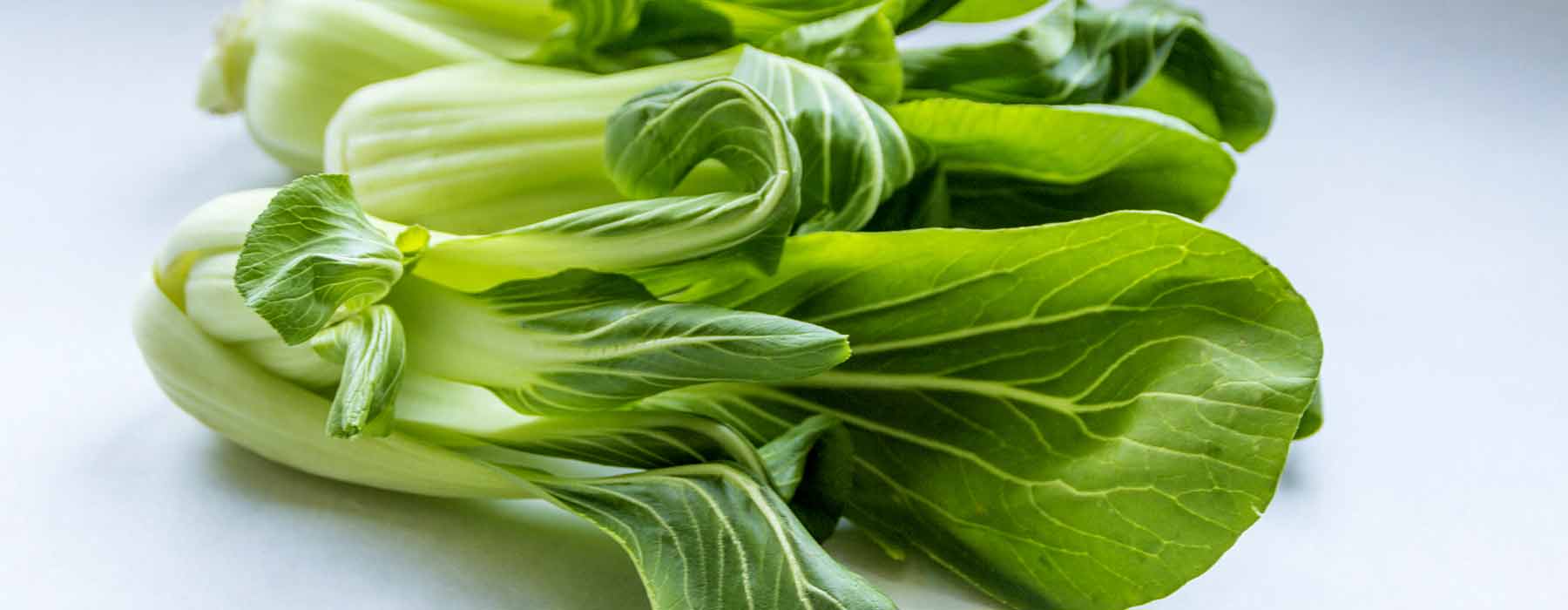 washed bok choy for guinea pigs to eat