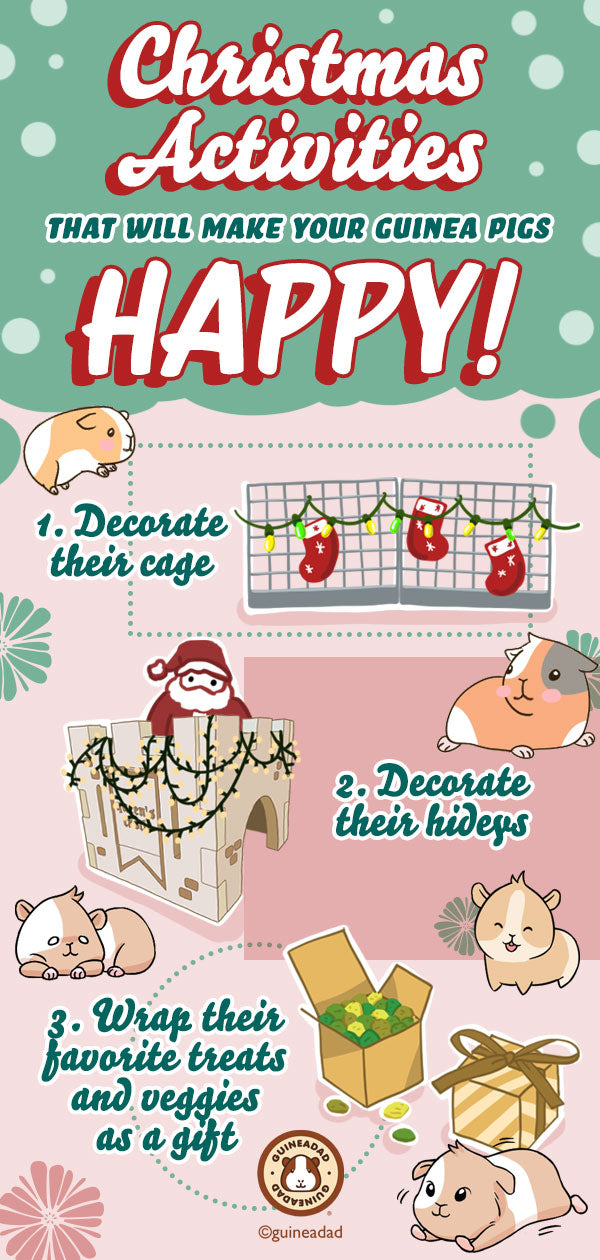 Fun Christmas Activities that will make your Guinea Pig Happy