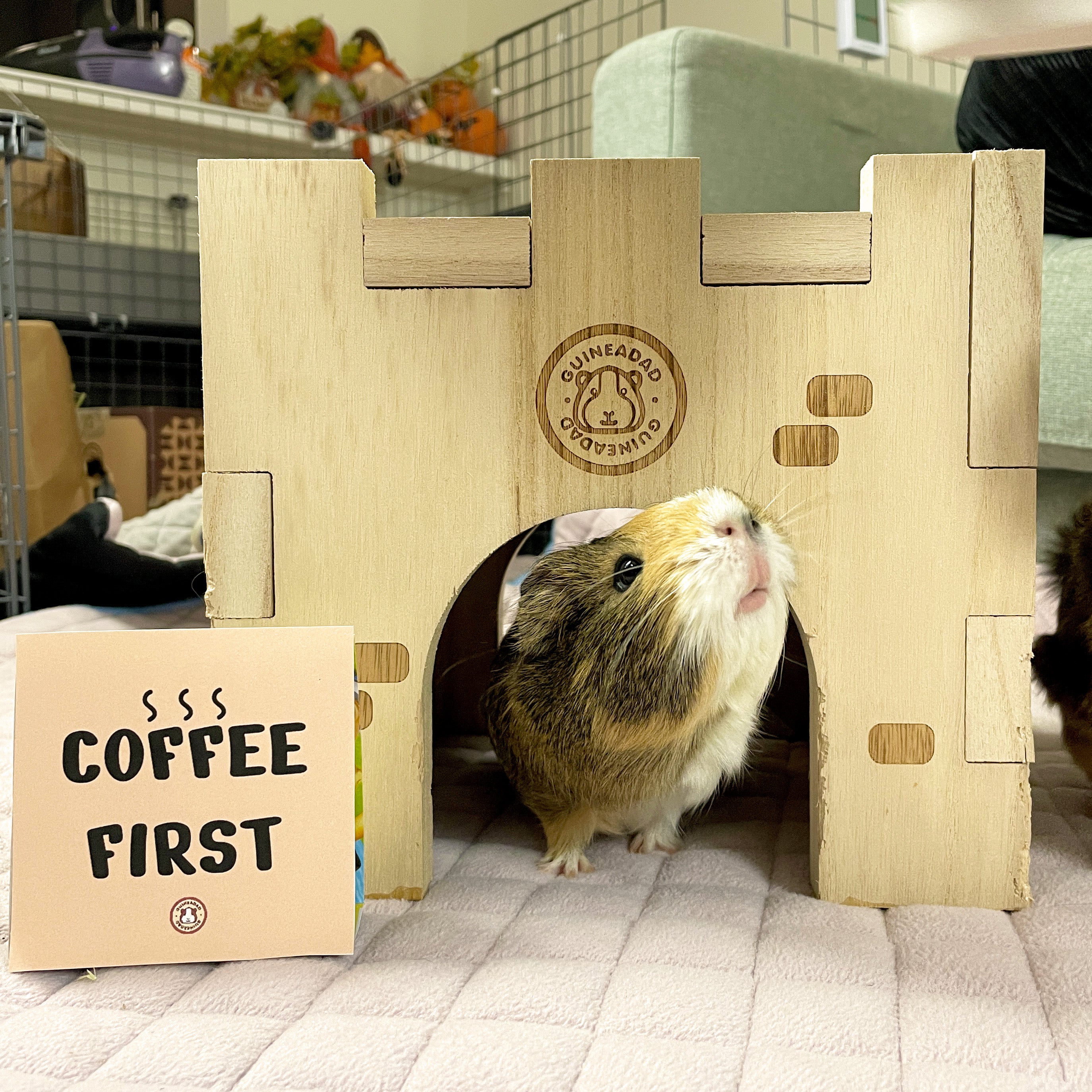 Guinea pig inside GuineaDad Queen's Castle solid wood hidey for guinea pigs