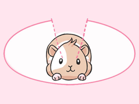 Illustration showing a guinea pig centered within an almost complete circular arc, representing its impressive 340-degree field of vision, essential for monitoring surroundings and survival.