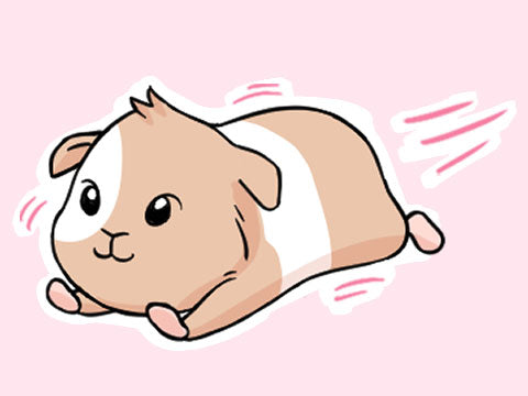 Illustration of a newborn baby guinea pig running, depicting their advanced state at birth with full fur and teeth, highlighting their precocial nature essential for survival.