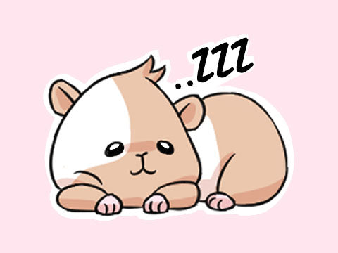 Illustration of a guinea pig sleeping with its eyes open, symbolized by 'zzz' above its head, depicting their natural behavior as prey animals to stay alert to potential dangers even while resting.