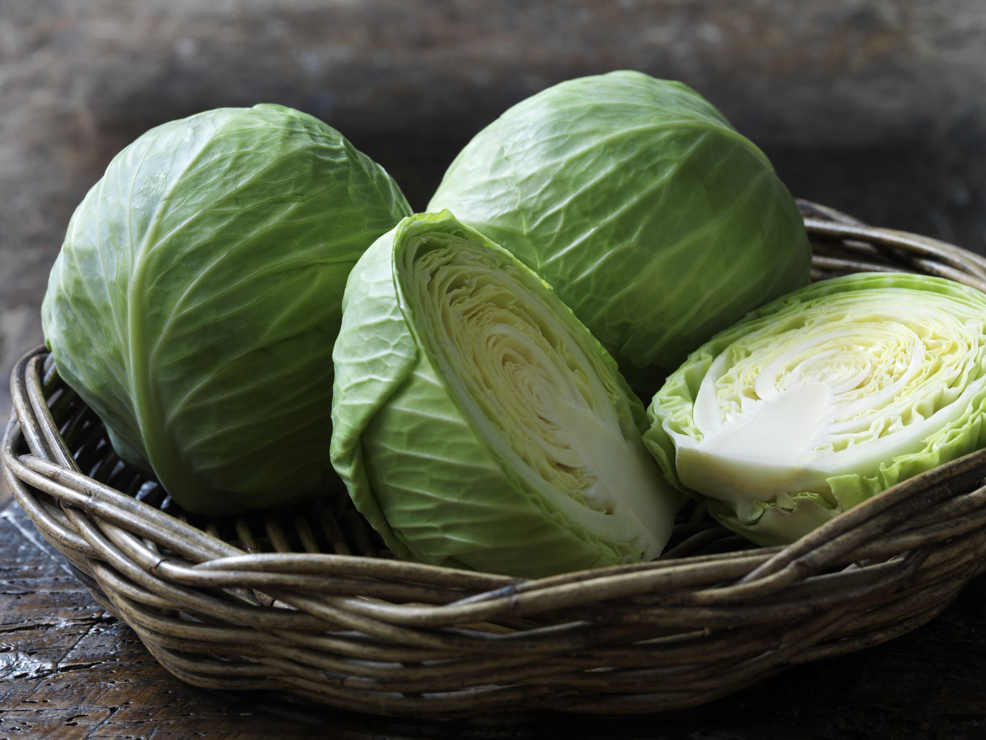 Cabbage gathered for guinea pigs to eat