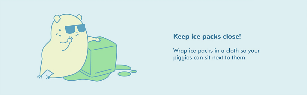  Wrap ice packs in a cloth so your piggies can sit next to them to stay cool.