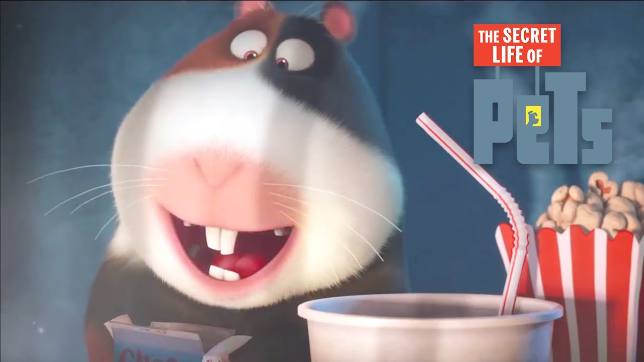 norman from the secret life of pets enjoying movie snacks