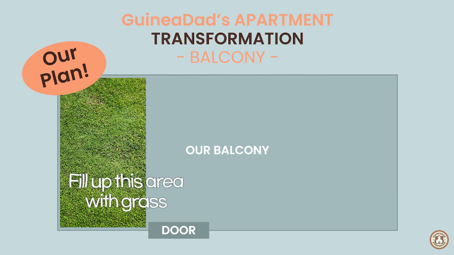 plans for a grass area for guinea pigs