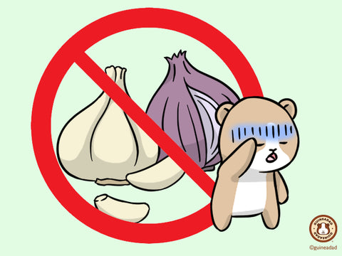 Guinea pigs should not eat onion or garlic