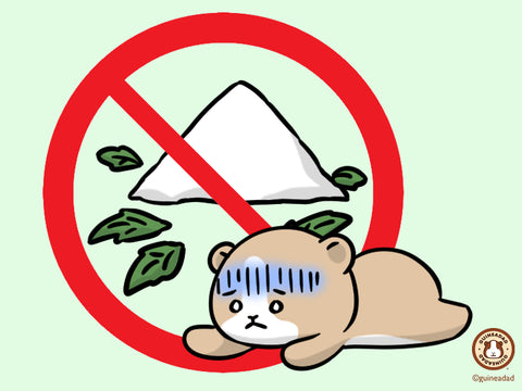 Guinea pigs should not eat Xylitol