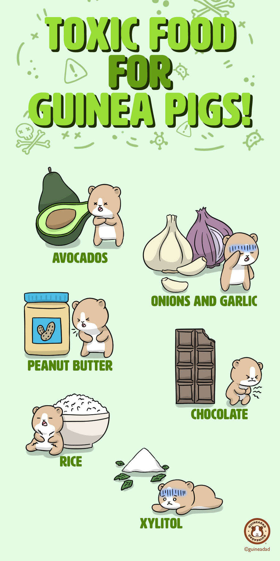 Harmful foods for guinea pigs