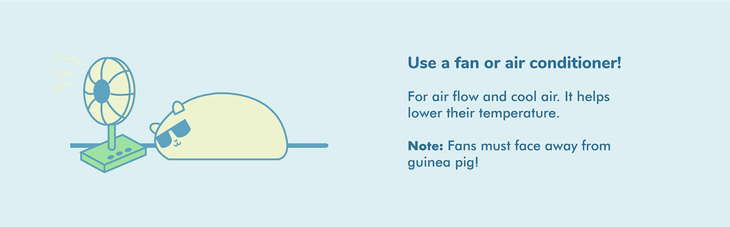Use a fan or air conditioner! For air flow and cool air, it helps lower their temperature. Fans must face away from the guinea pig!