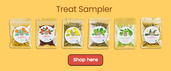 Six Treat Sampler for guinea pig health and snacking