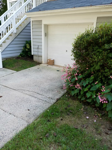 Tempting Box outside residence