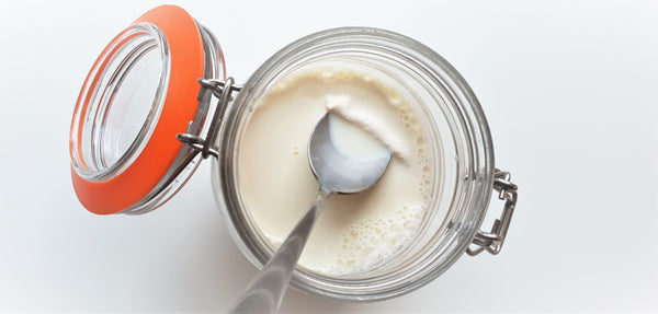 Fermented Foods - Authentic Kefir